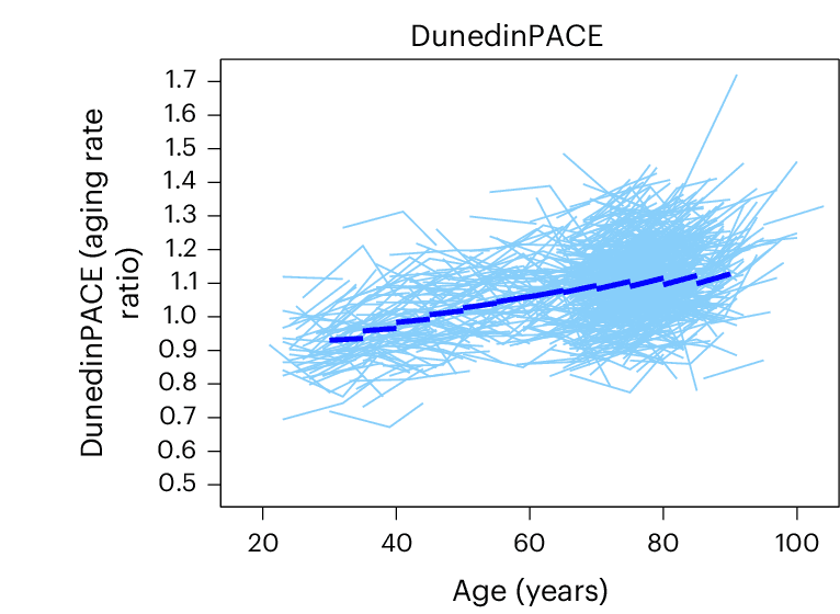 Line chart of DunedinPACE scores against age. Many short light-blue line segments, one per person, are scattered around a darker dashed trend line that rises slowly from about 0.93 at age 30 to about 1.13 at age 90.